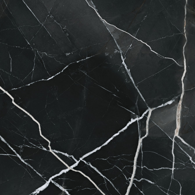 Majesto Calacatta Noir 24×24 Field Tile Honed Rectified