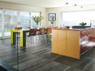 Speakeasy Silver Screen 6x36 and 12x36