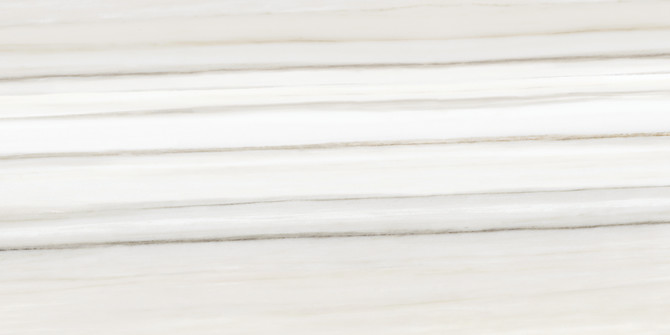 Caspar Zebrino 16×32 Field Tile Matte Rectified
