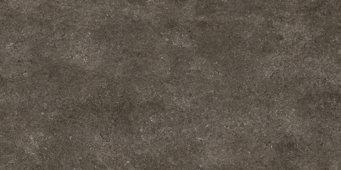 Sensi Brown Fossil 48×95 Field Tile Matte Rectified