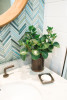 Tommy Bahama Kangaroo Island Zig and Zag Mosaic