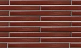Arcaico Border Reddish Brown 1×10 Field Tile Bright