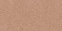 Argent 2.0 Sunkissed Rose 12×24 Field Tile Rectified