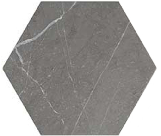 Love Affairs Petra Charcoal 8×9 Hexagon Field Tile Matte