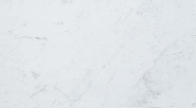 Eon Carrara 12×22 Wall Tile Glossy