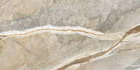 Majesto Foresta 24×48 Field Tile Honed Rectified