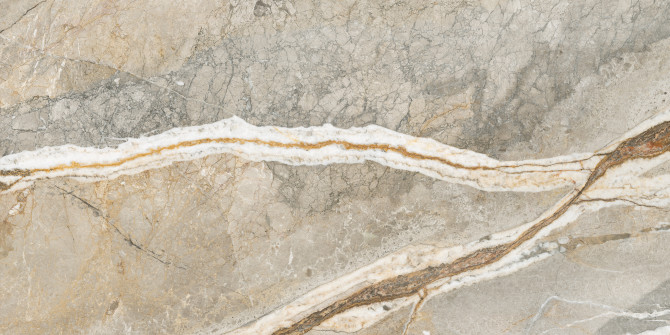 Majesto Foresta 24×48 Field Tile Honed Rectified