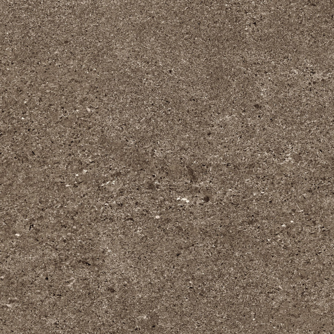 Infinity Earth 24×24 Field Tile Matte Rectified