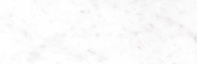Concert White 5×16 Field Tile Matte Rectified