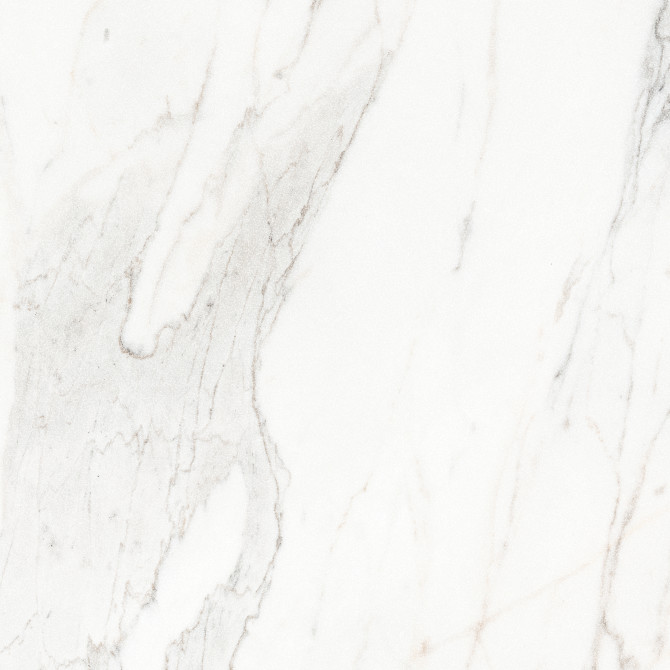Majesto Calacatta Borghini 24×24 Field Tile Vintage Rectified
