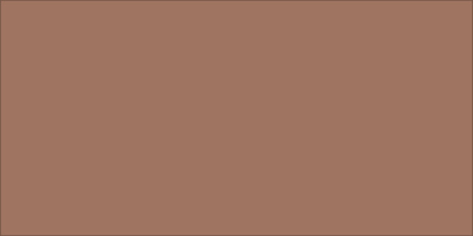 Solid Cotto 5×10 Field Tile Matte Rectified