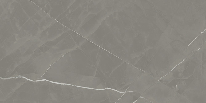 Beyond Calacatta Gray 24×48 Field Tile Matte Rectified