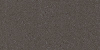 Alaska Tundra 12×24 Field Tile Matte Rectified