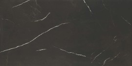 Alta Black 24×48 Field Tile Polished Rectified
