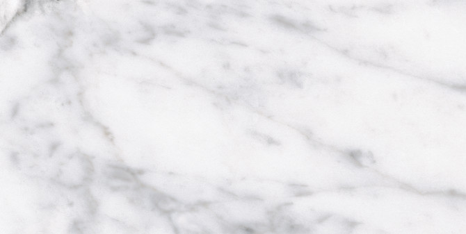 Classic Carrara 12X24 Matte
