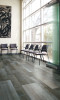 Speakeasy Silver Screen 6x36 and 12x36