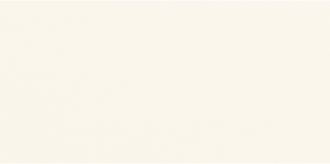 Retroactive 2.0 Snow Blind 6×12 Field Tile Polished