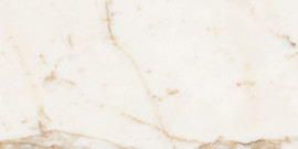 Classica Calacatta Gold 12×24 Field Tile