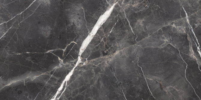Majesto Forge Eleganza 24×48 Field Tile Honed Rectified