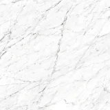 Marmo Carrara 24×24 Field Tile