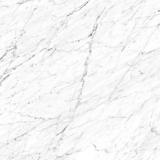Marmo Carrara 24×24 Field Tile Polished