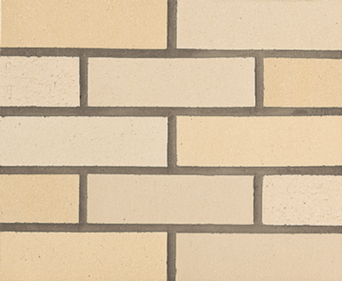 Thin Brick Georgetown 2×8 Field Tile