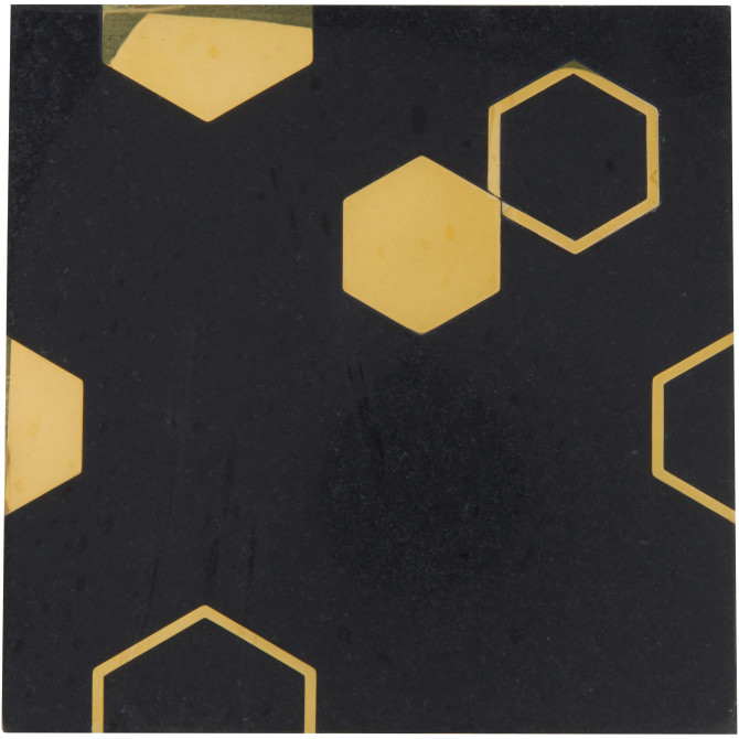 Ellington Ebony & Brass 6×6 Jacques Decorative Tile Honed