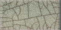 Euphoria 3×6 Bullnose (3″ Glazed Edge)