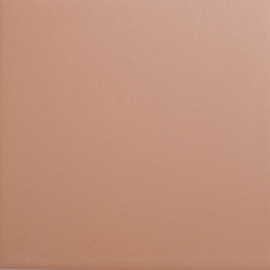 Bits Cider 5×5 Field Tile Matte