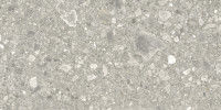 Pictured Rocks Aggregate 24×47 Field Tile Matte Rectified