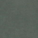 Argent 2.0 Enchanted Forest 12×12 Field Tile Rectified