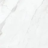 Altezza Carrara 20×20 Field Tile
