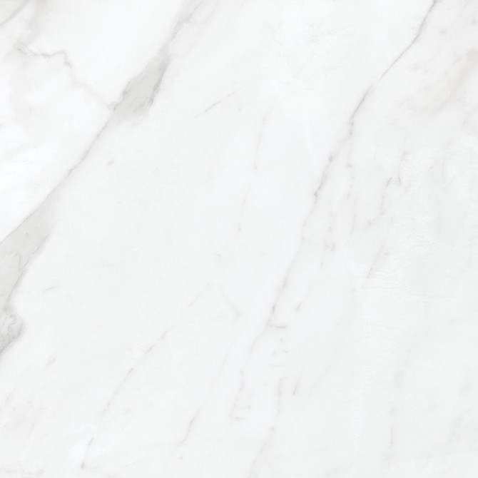 Altezza Carrara 20×20 Field Tile
