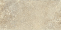Uniche Beige 12×24 Field Tile Rectified