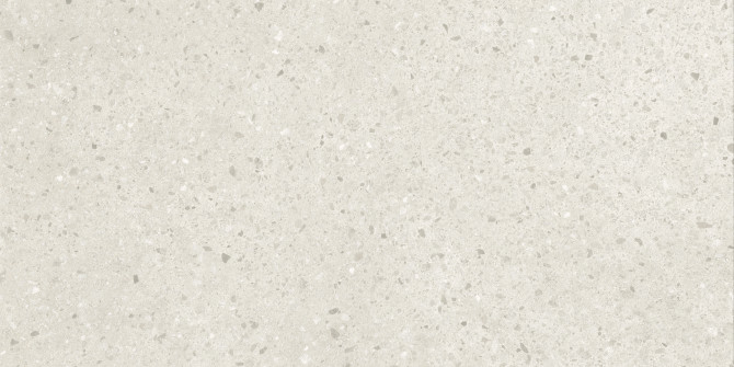 Civic Clear 24X48 Chips Field Tile Matte Rectified
