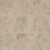 Frontier20 Barge Gold 12×24 Wall Cover