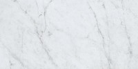 Eon Carrara 12×24