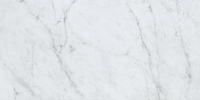 Eon Carrara 12×24