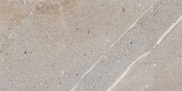 Epitome Gold 12×24 Field Tile Matte Rectified