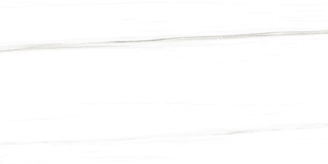 Epic Dolomite 24×48 Field Tile Matte Rectified