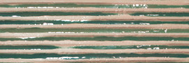 Casablanca Basil 2×6 Comb Decorative Tile Glossy