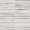 Caspar Zebrino 3×24 Bullnose Polished