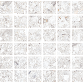 Santiago White 2×2 Mosaic Rectified