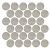 Trajectory Path 2.5 Diameter Circle Mosaic Matte