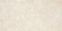 Untamed Warm 24×48 Field Tile Matte Rectified
