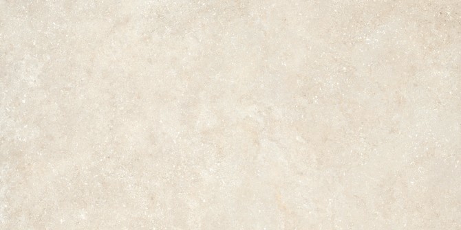Untamed Warm 24×48 Field Tile Matte Rectified