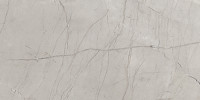 Absolute Light Grey 12×24 Field Tile