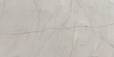 Absolute Light Grey 12×24 Field Tile