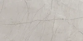 Absolute Light Grey 12×24 Field Tile