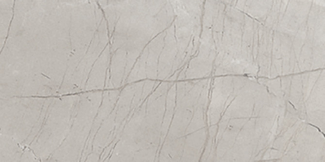 Absolute Light Grey 12×24 Field Tile